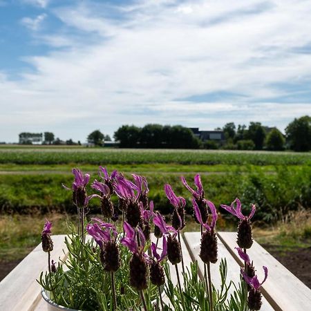 Appartement De Dageraad In Monumentale Boerderij Kimswerd Kültér fotó
