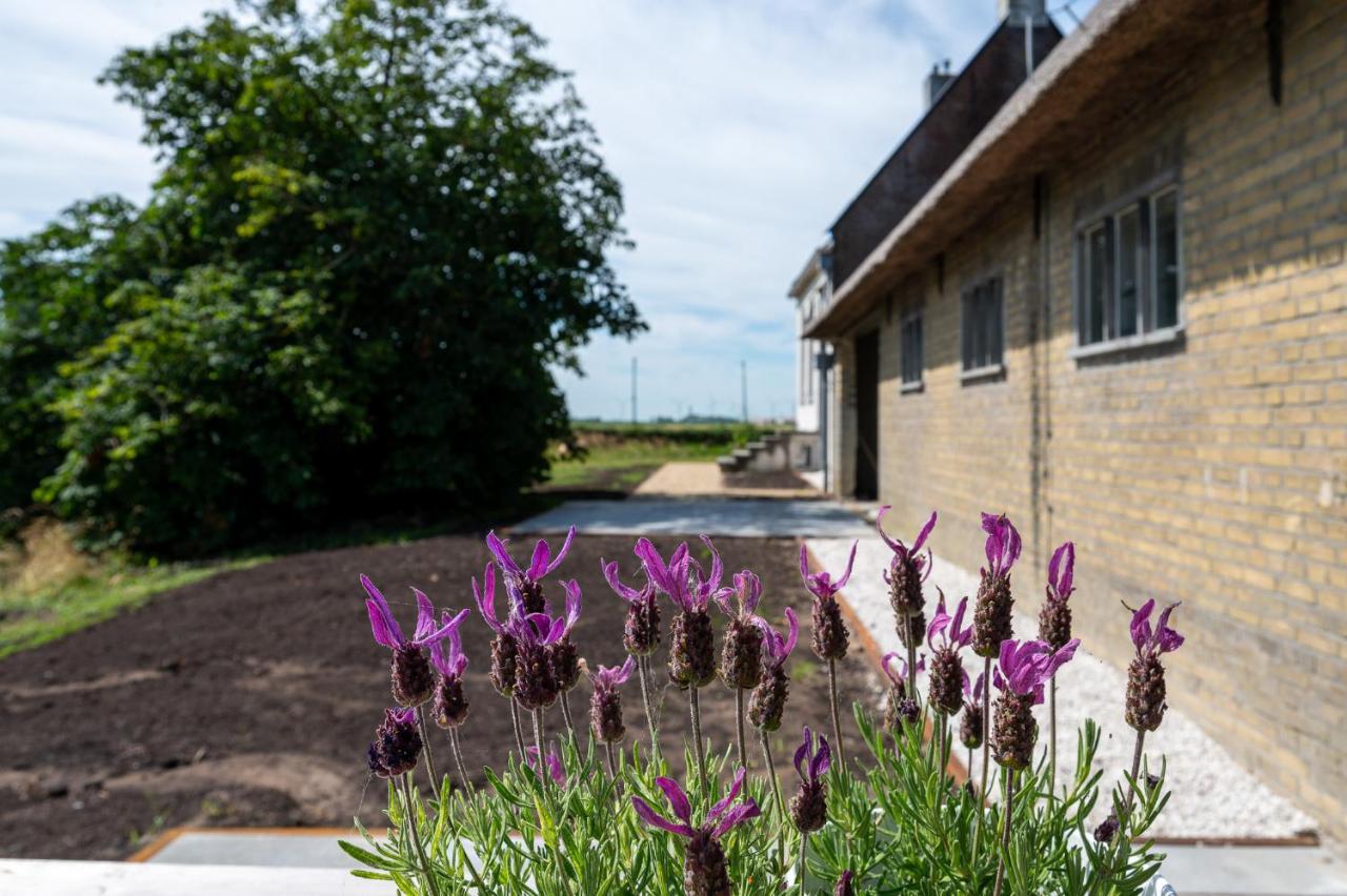 Appartement De Dageraad In Monumentale Boerderij Kimswerd Kültér fotó