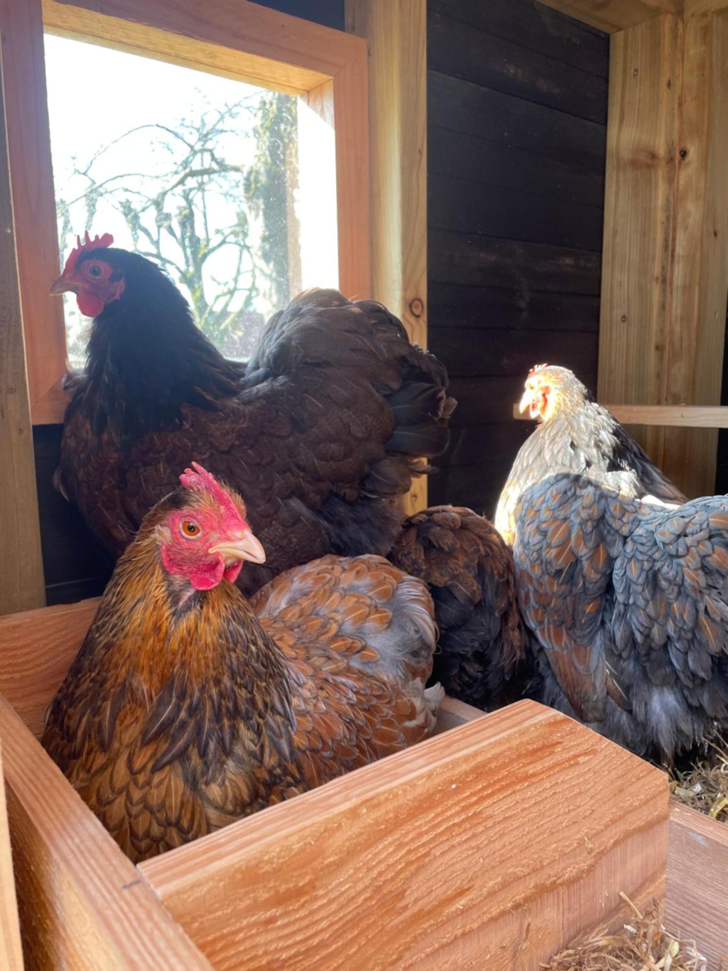 Appartement De Dageraad In Monumentale Boerderij Kimswerd Kültér fotó