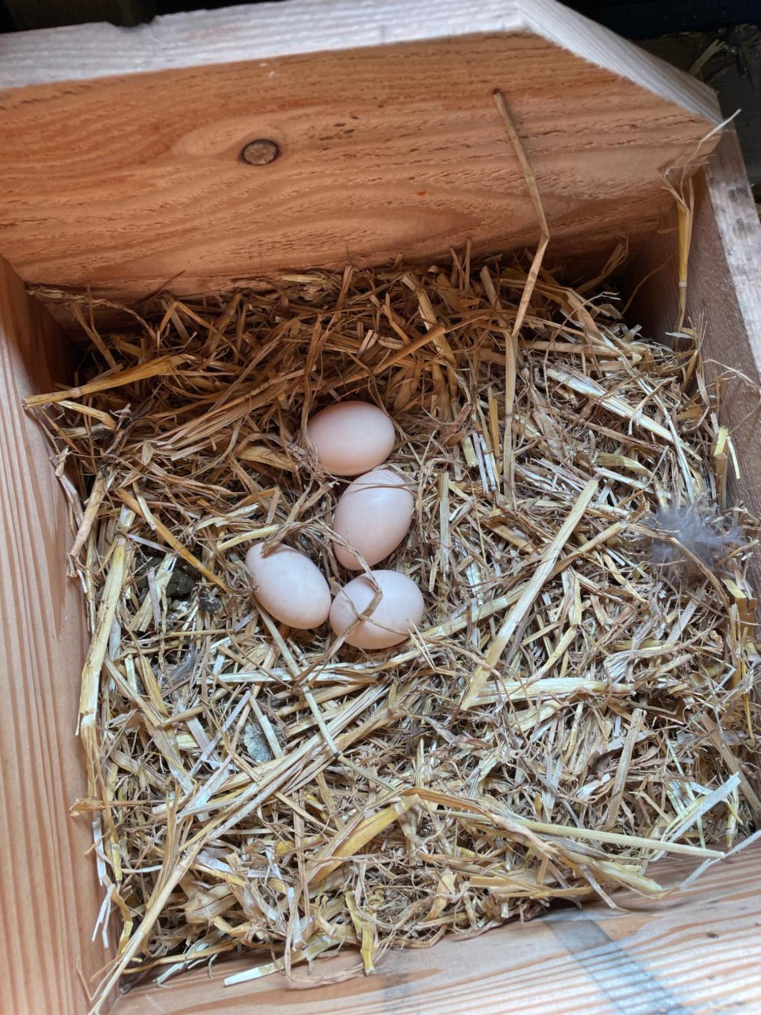 Appartement De Dageraad In Monumentale Boerderij Kimswerd Kültér fotó