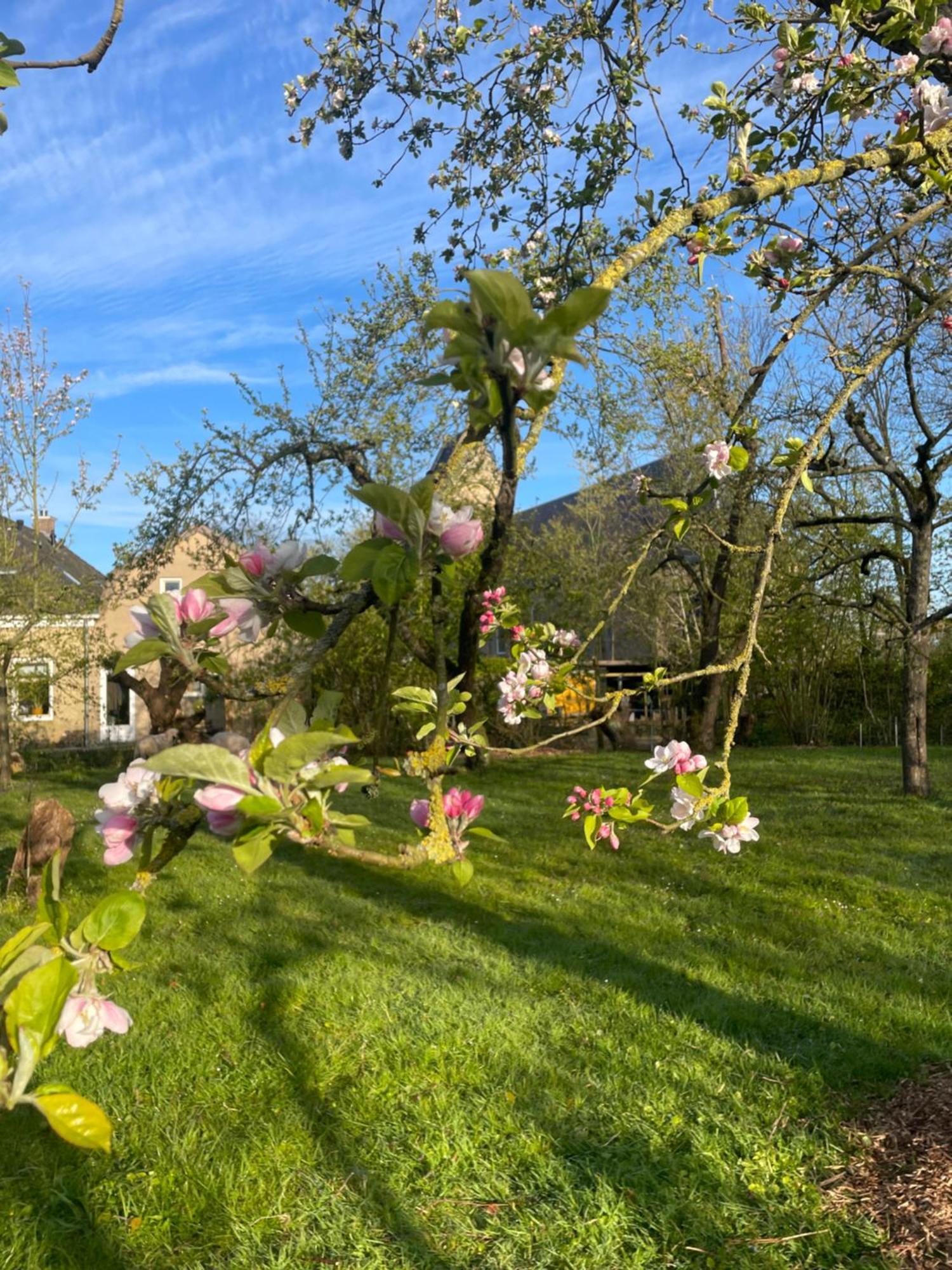 Appartement De Dageraad In Monumentale Boerderij Kimswerd Kültér fotó