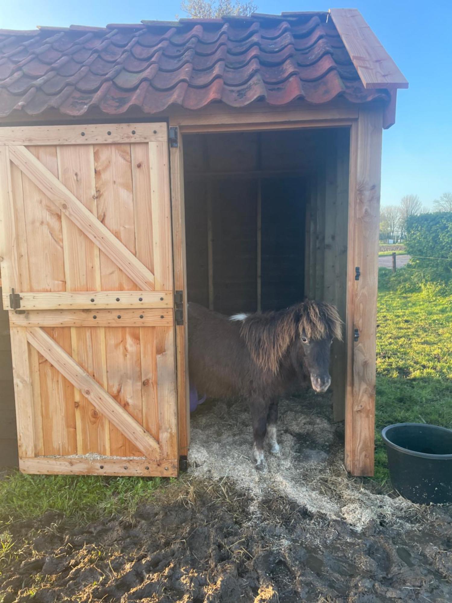 Appartement De Dageraad In Monumentale Boerderij Kimswerd Kültér fotó