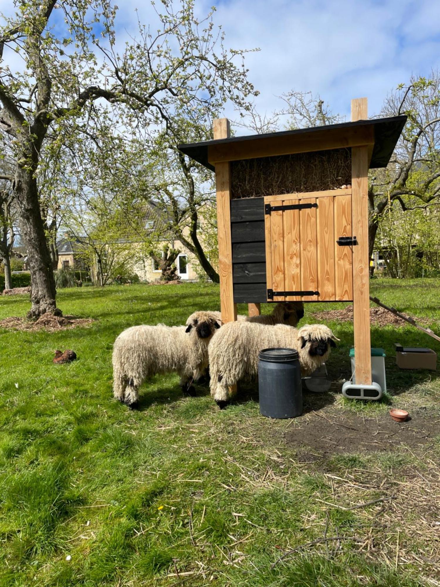 Appartement De Dageraad In Monumentale Boerderij Kimswerd Kültér fotó